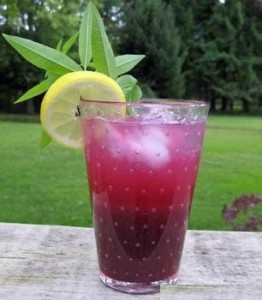 Summer drinks - Falsa Juice