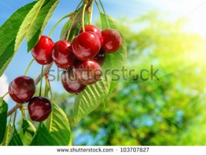 cherries for good health
