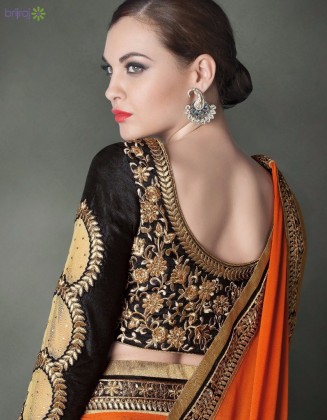 Saree Blouse Design for this year