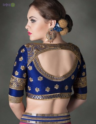 Sari Blouse Design for this year