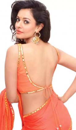 Deep back neck blouse designs for your sari