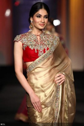 High Neck Blouse Designs for your sari this year