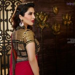 Saree Blouse Design for this year
