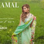 lawn trends summer 2017-3