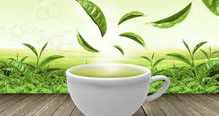 health and beauty benefits of green tea