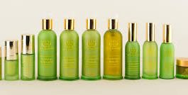 natural beauty brands