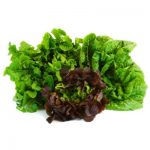 lettuce