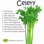 celery