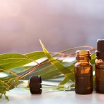 Eucalyptus-Banner