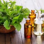 peppermint-oil-and-plant-1