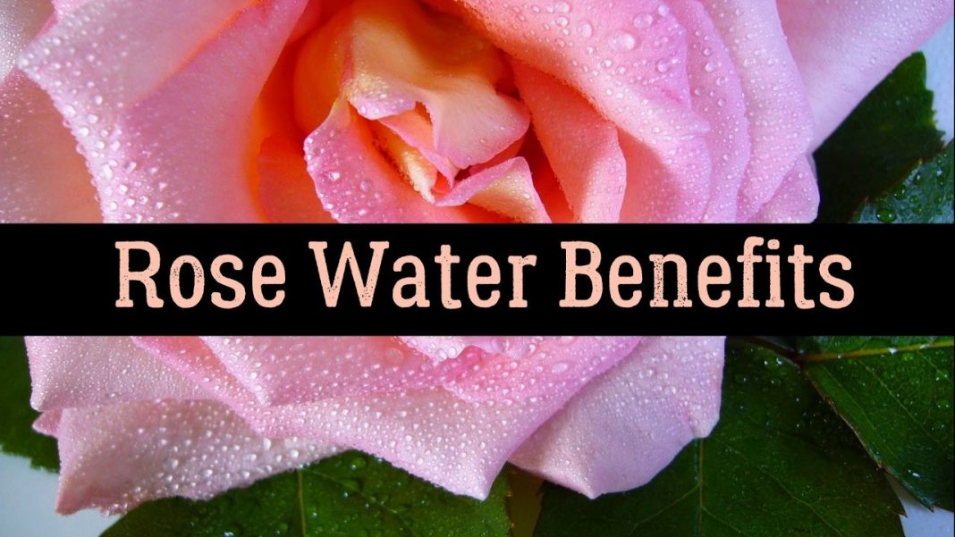 rose water benefits