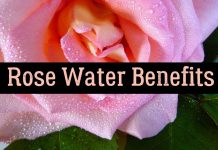 rose water benefits