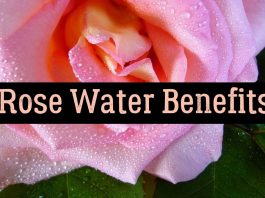 rose water benefits