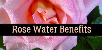 rose water benefits